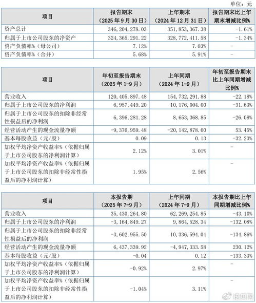 聯(lián)迪信息2025年第三季度凈虧損316.48萬元，內(nèi)銷收入下滑拖累業(yè)績